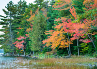 maine-7